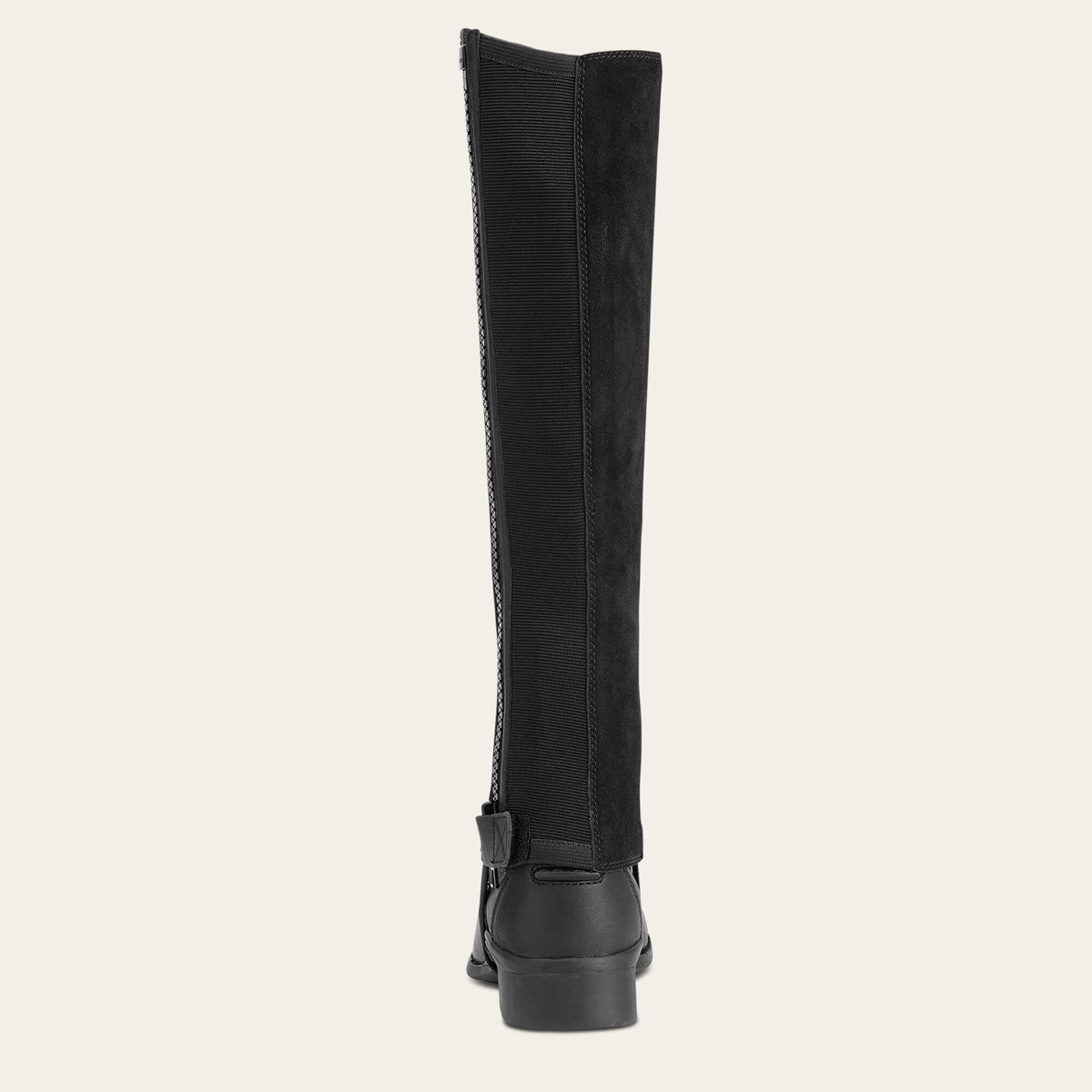 Scout Chap Half Chap Men / Women | Ariat outlet