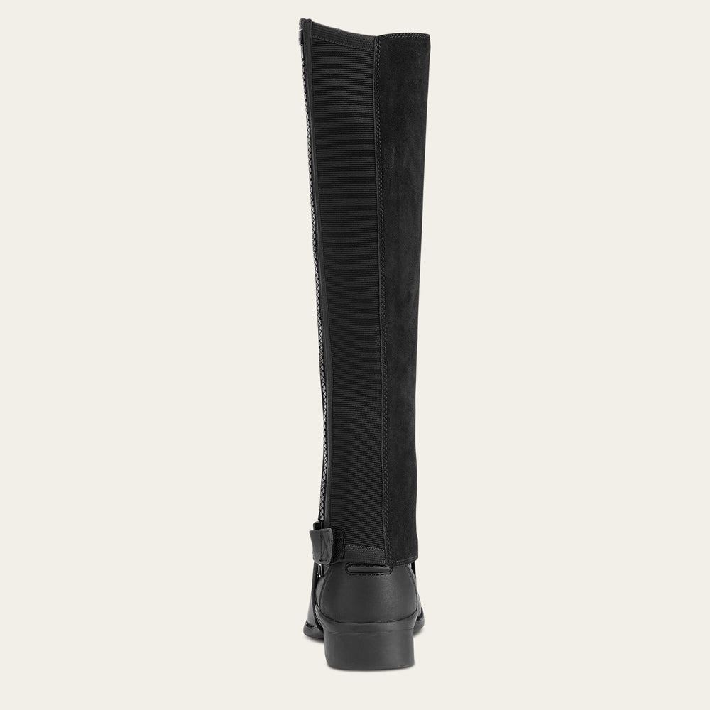 Scout Chap Half Chap Men / Women | Ariat outlet