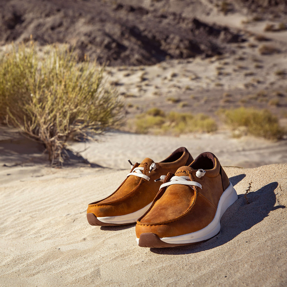 Buckeye Waterproof Shoe Men | Ariat online