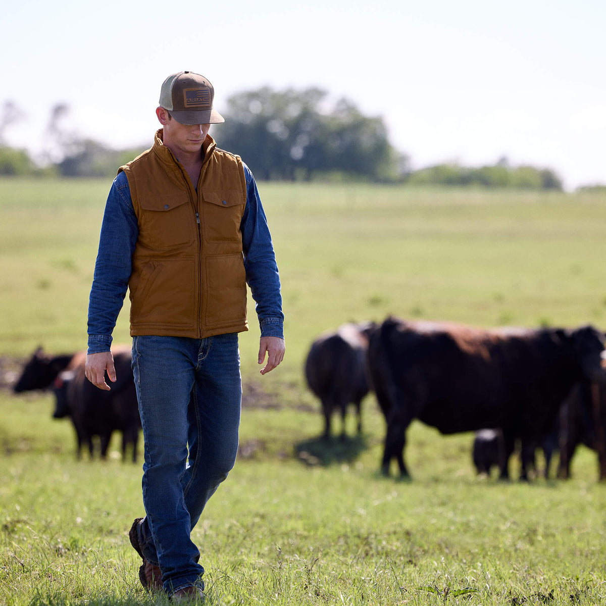 M7 Slim Sawyer Classic Rise Straight Leg Jeans Men | Ariat sale