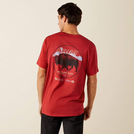 Ariat Patriot Buffalo Coin T-Shirt Men | Ariat outlet