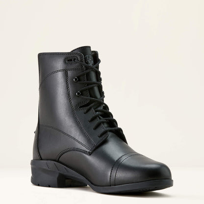 Scout Paddock Boot Women | Ariat online
