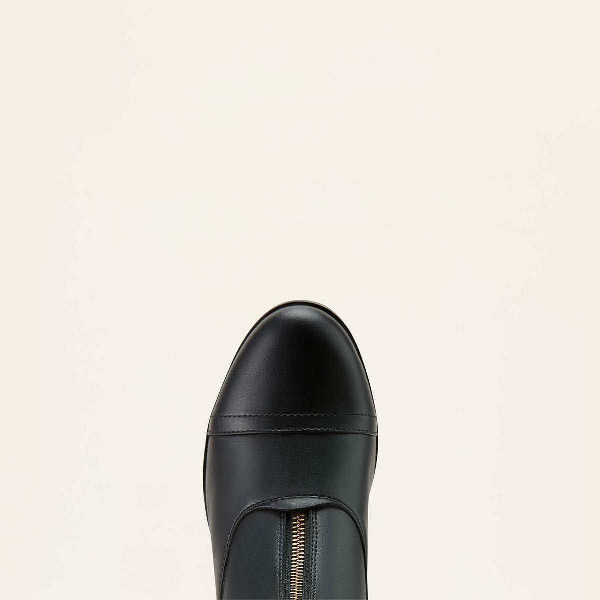 Women's Scout Zip Paddock Boot Women | Ariat on sale
