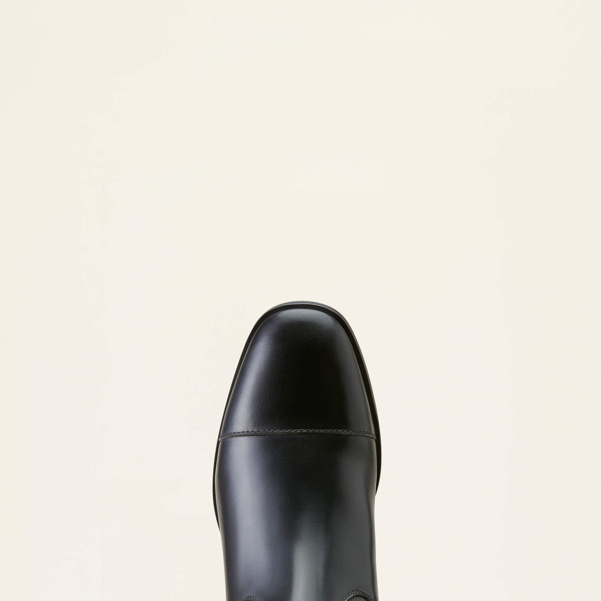 Ravello Dress Tall Riding Boot Women | Ariat online
