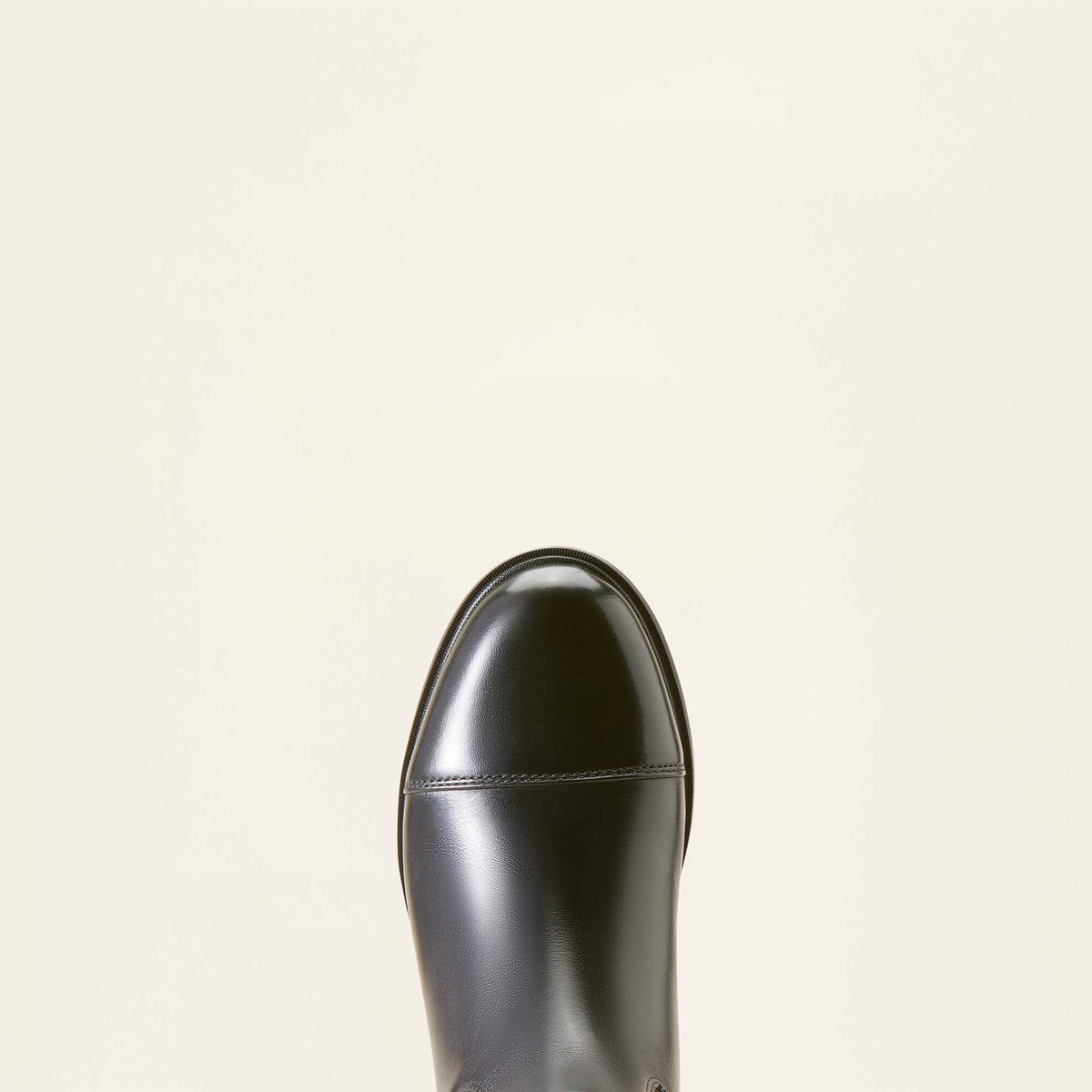 Devon Tall Riding Boot Women | Ariat discount