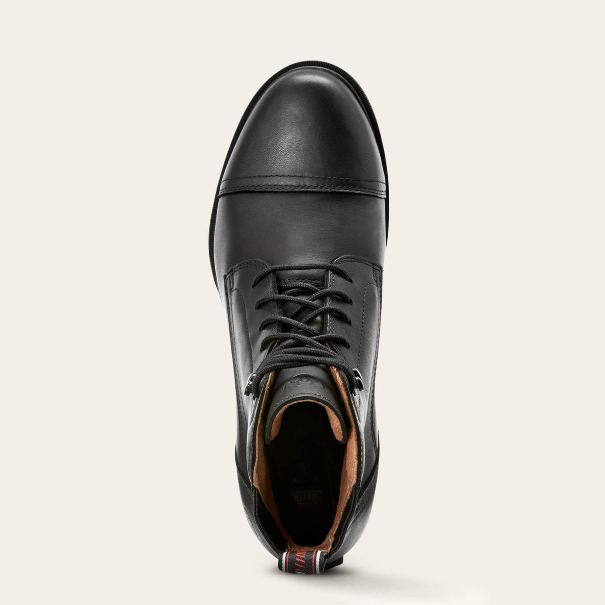 Performer Nitro Paddock Boot Women | Ariat for sale