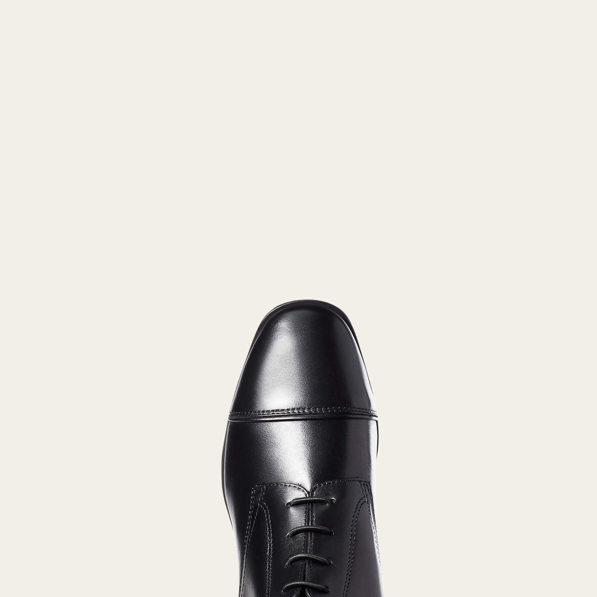 Palisade Tall Riding Boot Women | Ariat online
