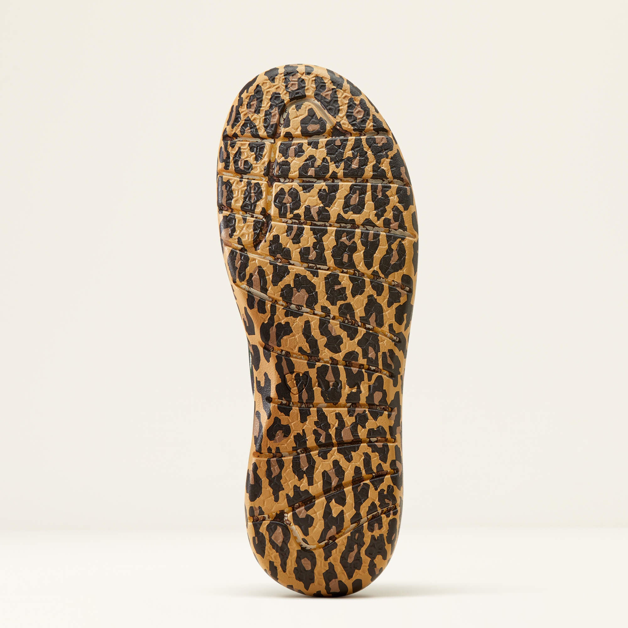Hilo Rodeo Quincy Women | Ariat online shop