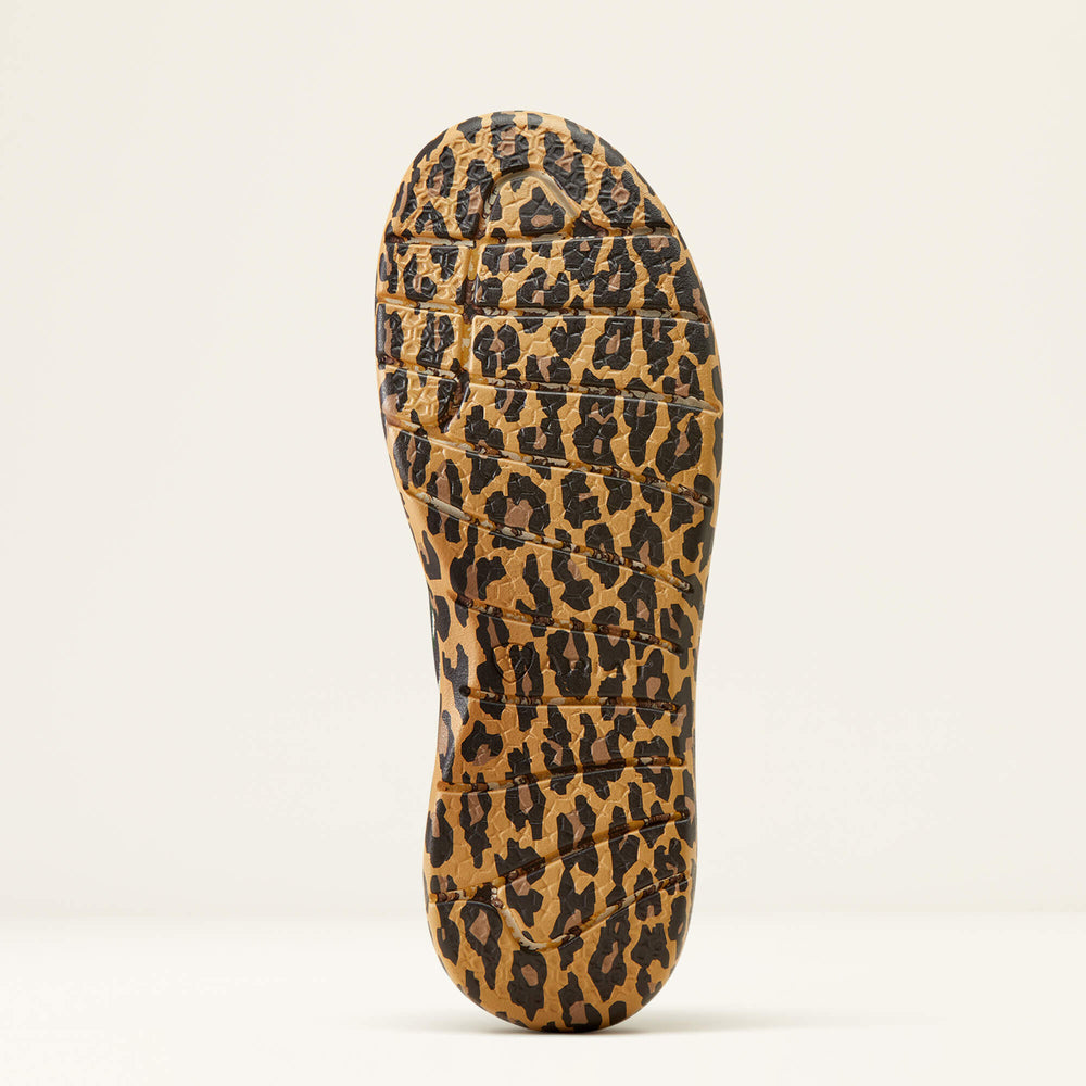Hilo Rodeo Quincy Women | Ariat online shop