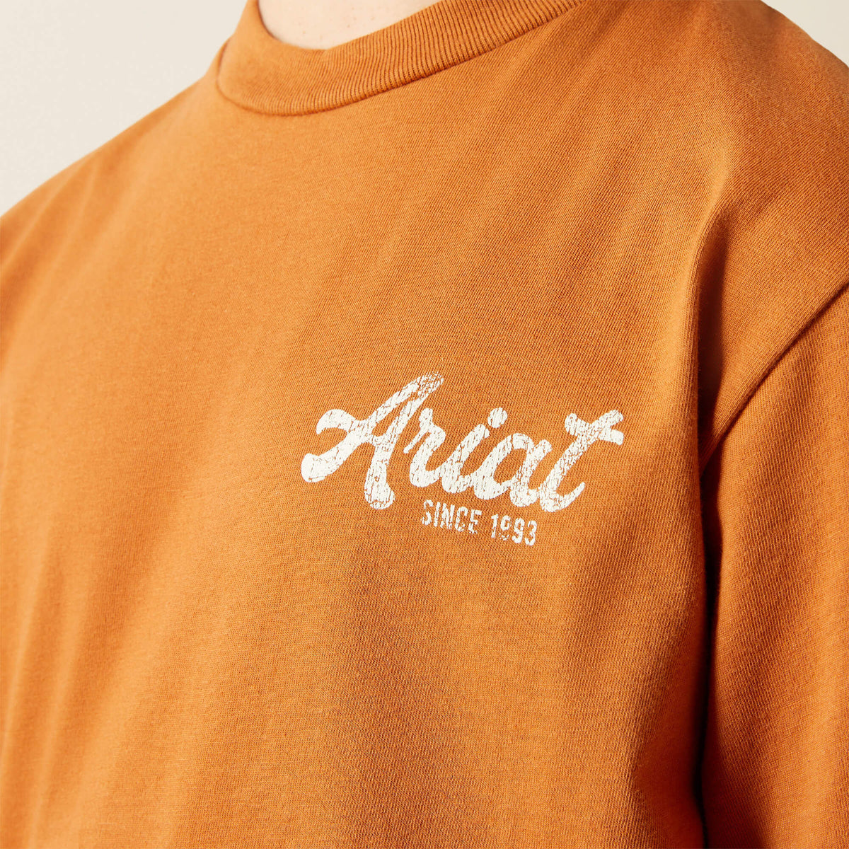 Ariat Coyote Country T-Shirt Kids | Ariat on sale